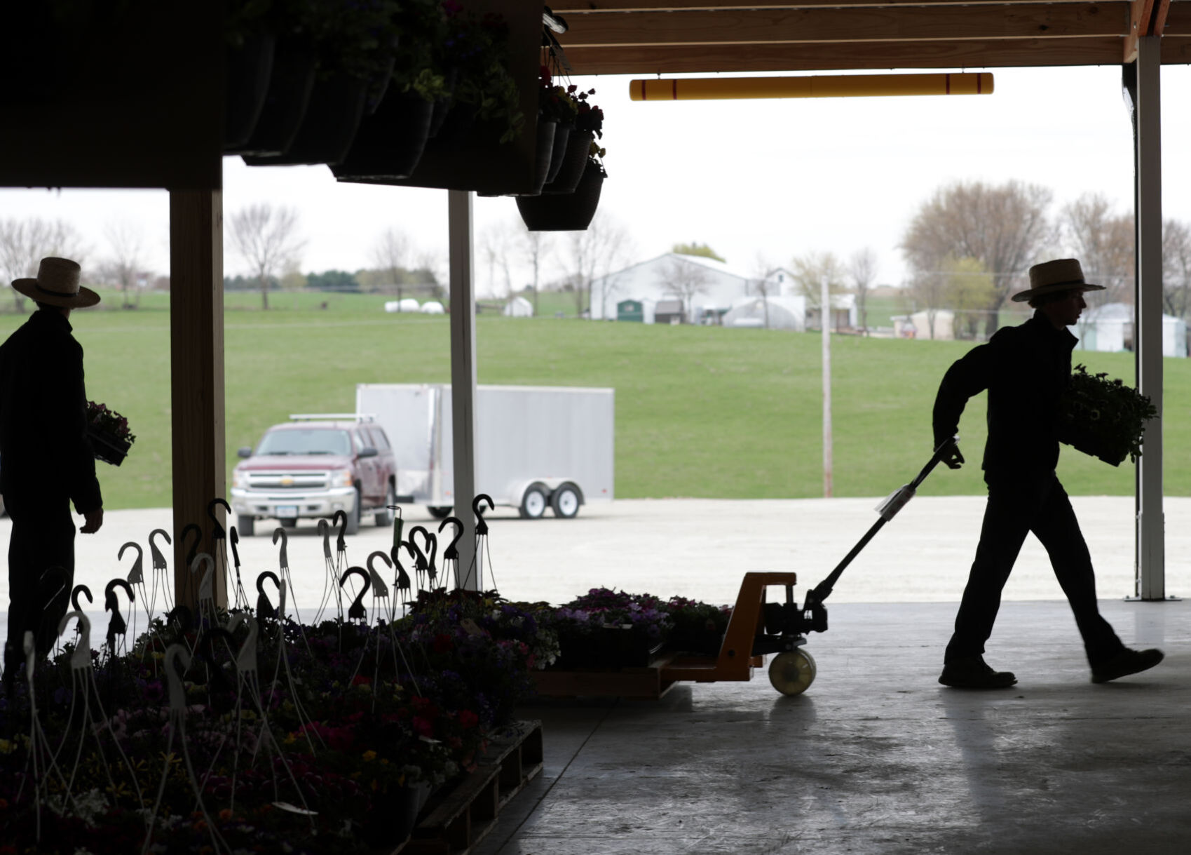 Platteville Produce Auction